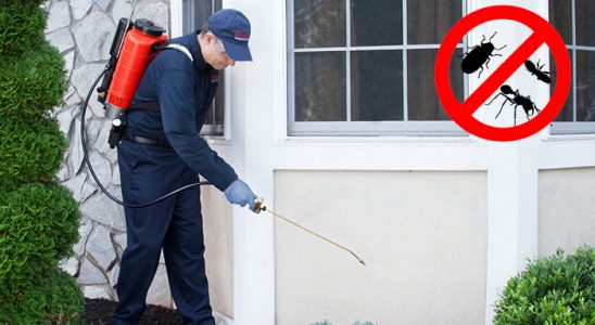 Saruhanlı Tahtakurusu İlaçlama böcek ilaçlama ve haşere kontrolü — ilaclama-tr.com
